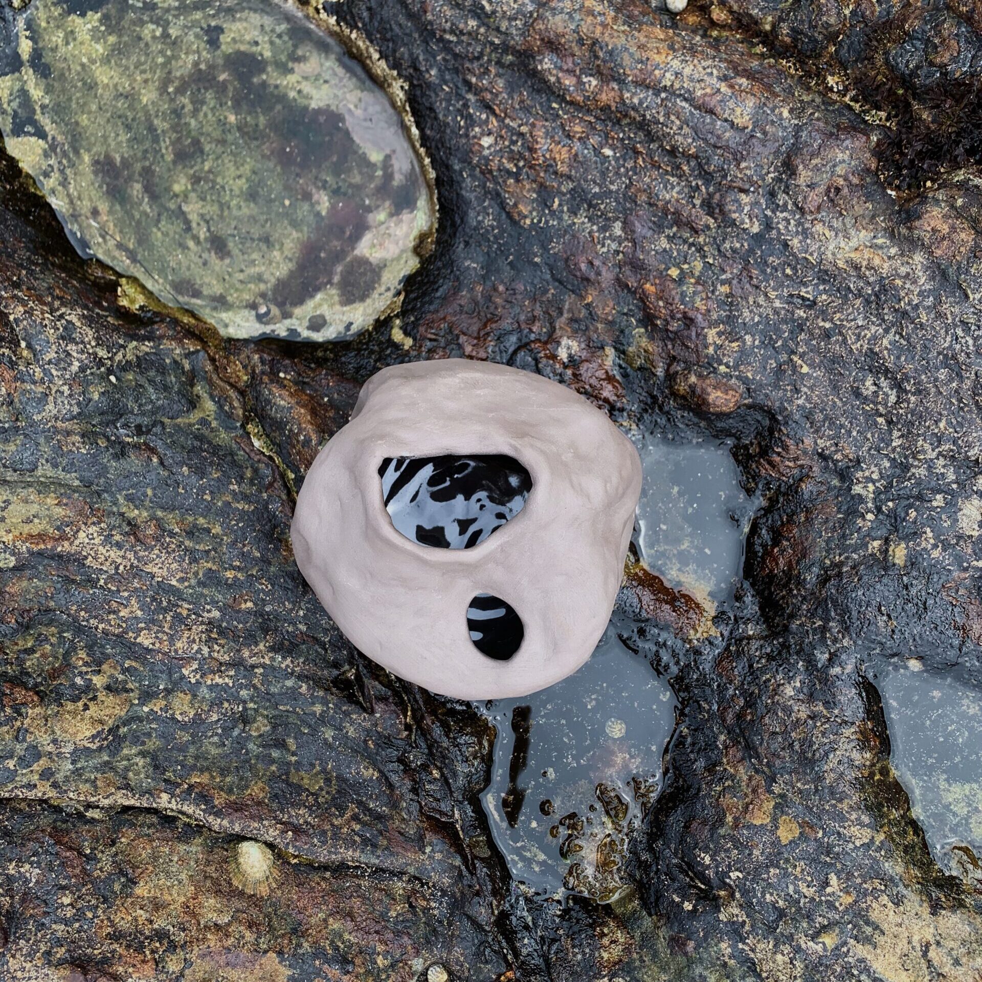 Jarrón negro | Natura - Imagen 4